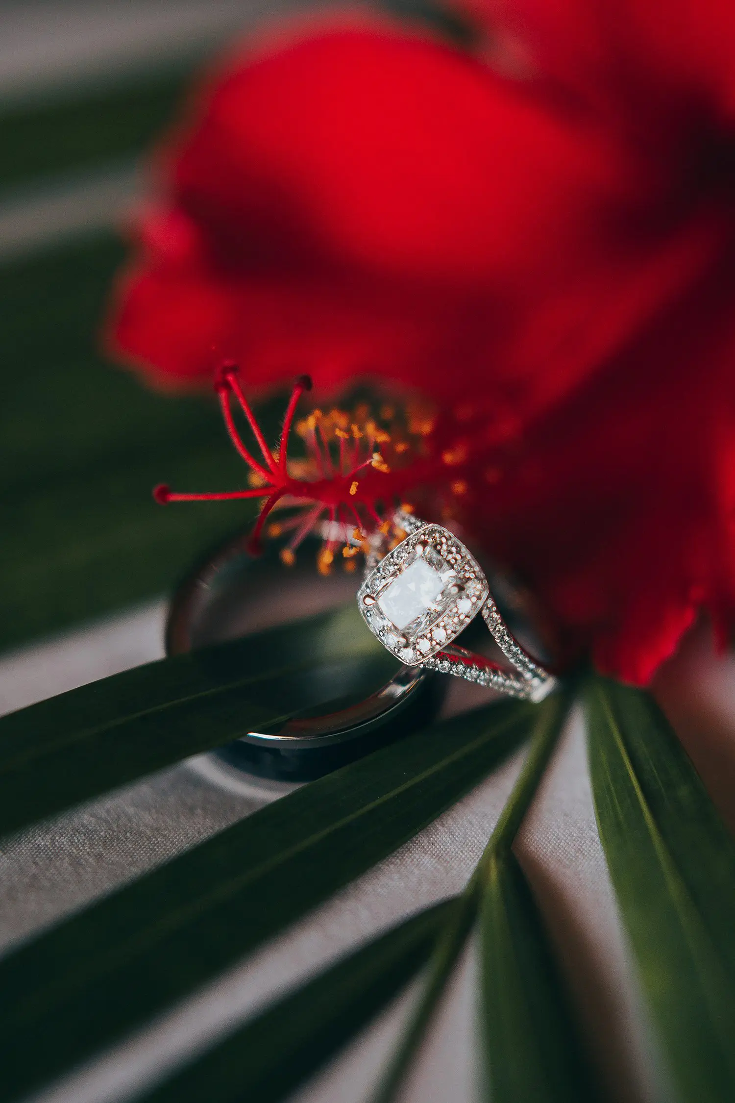 dallas-wedding-photographer