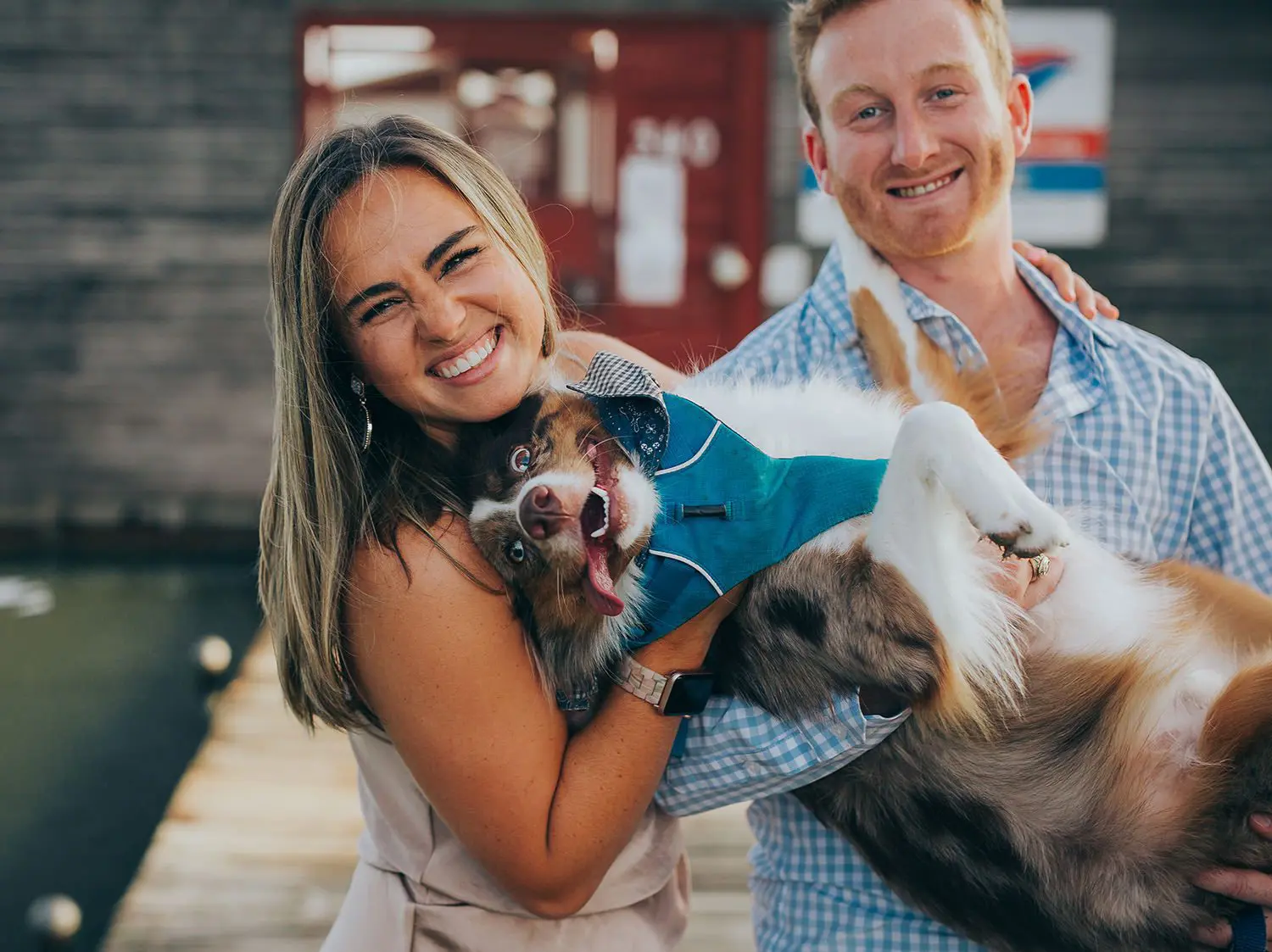 cute puppy engagement session