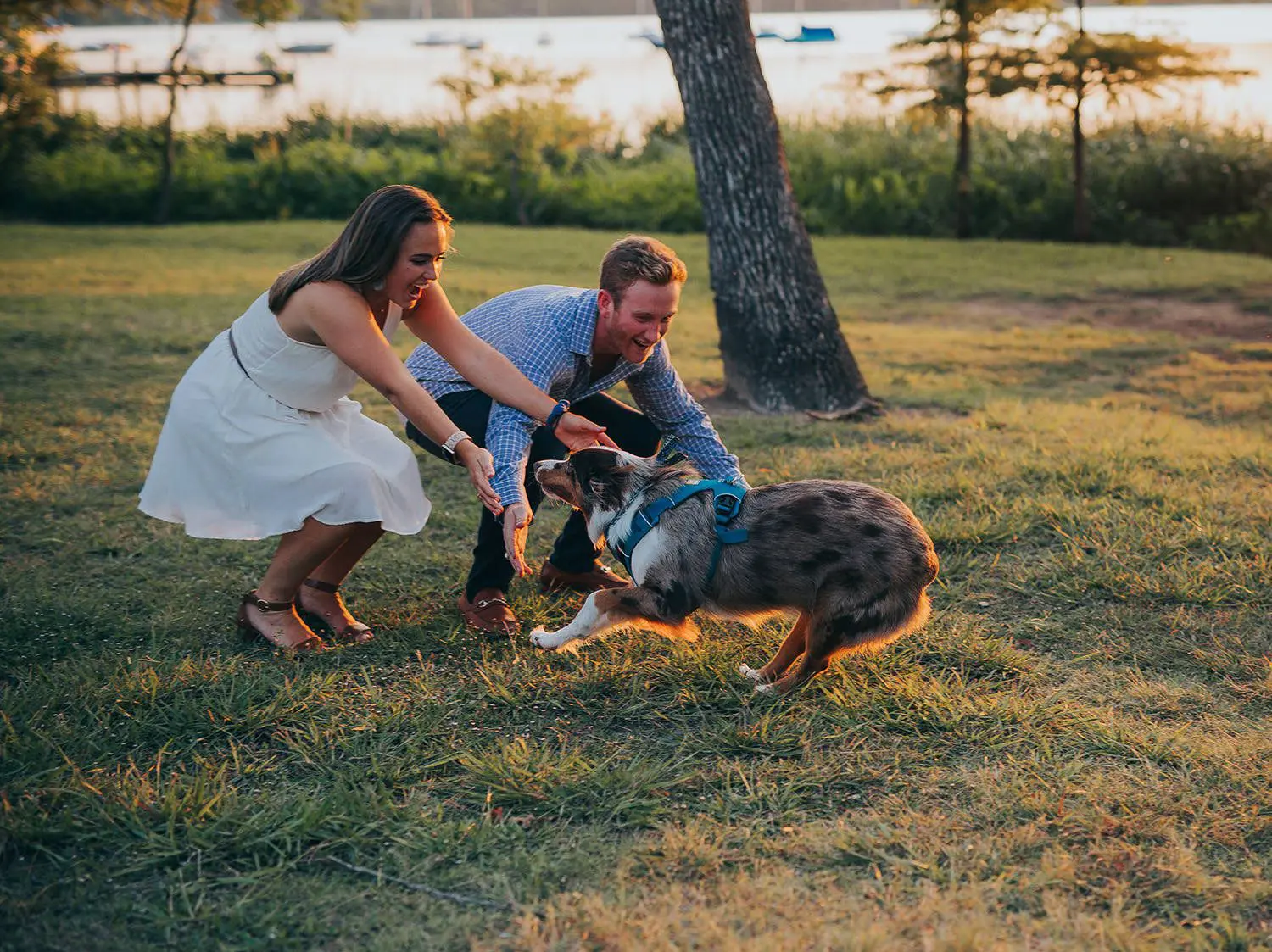 engagement session with dogs