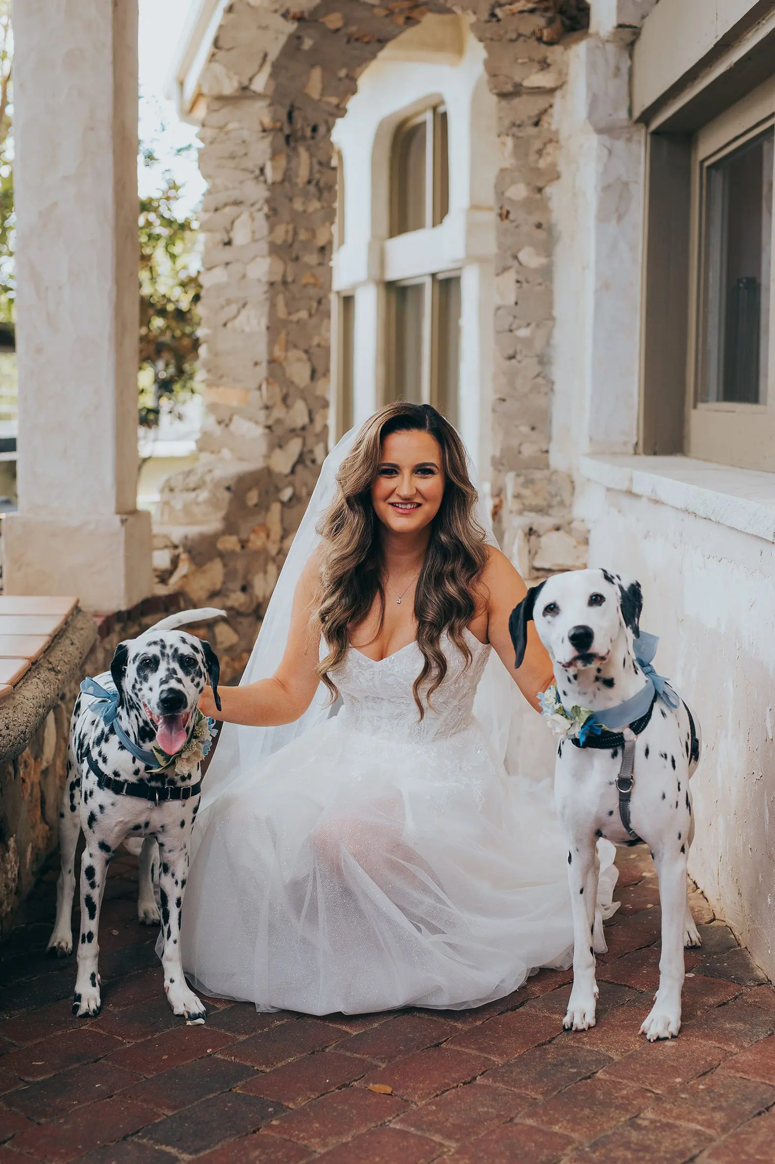 dogs at weddings