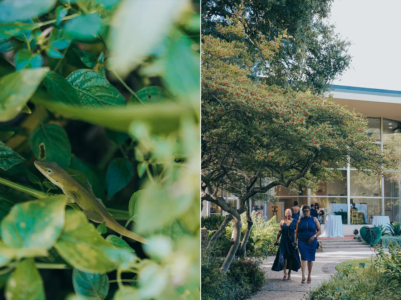 wedding at the texas discovery gardens