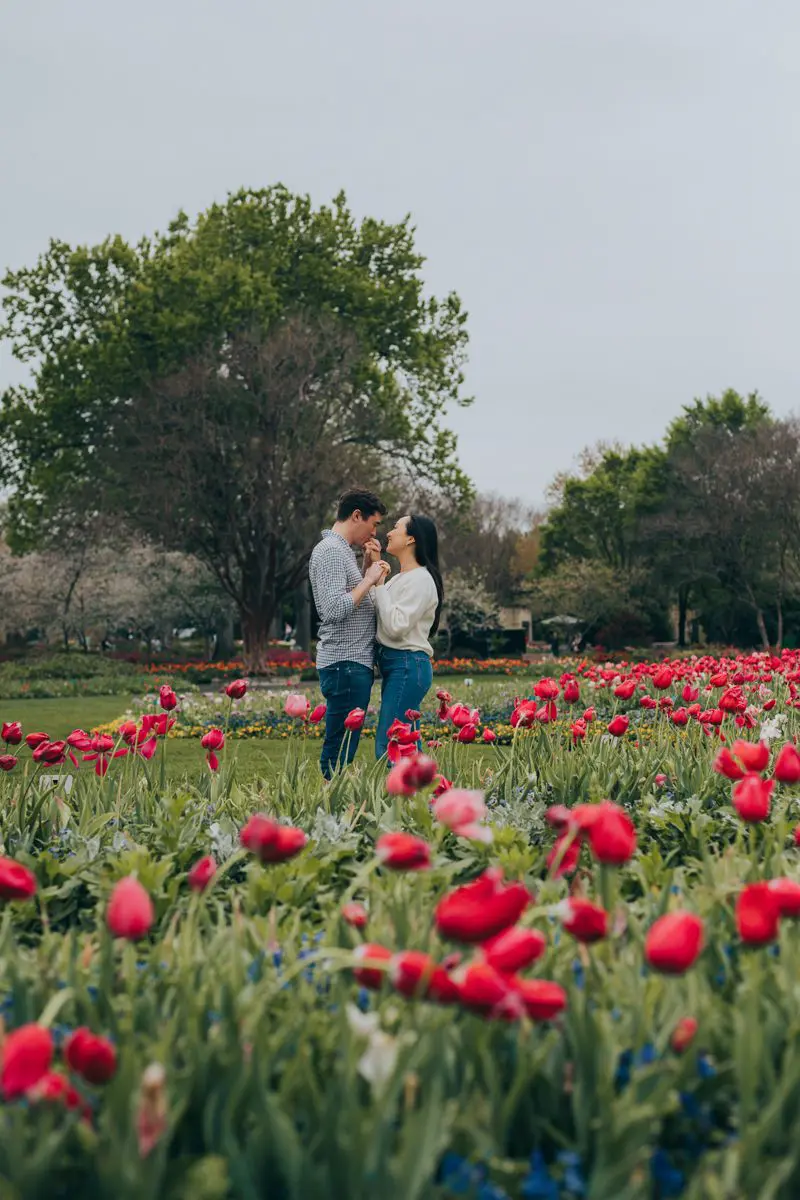 Dallas Arboretum Engagement Session