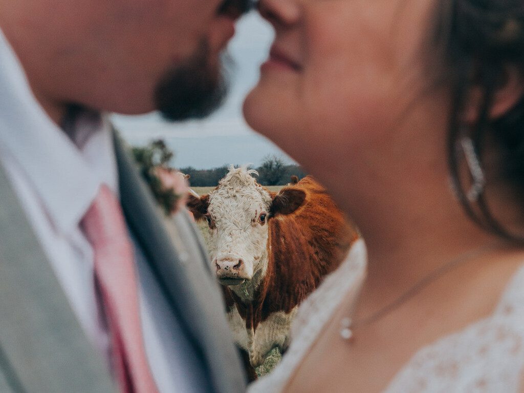 Texas Country Wedding Photographer