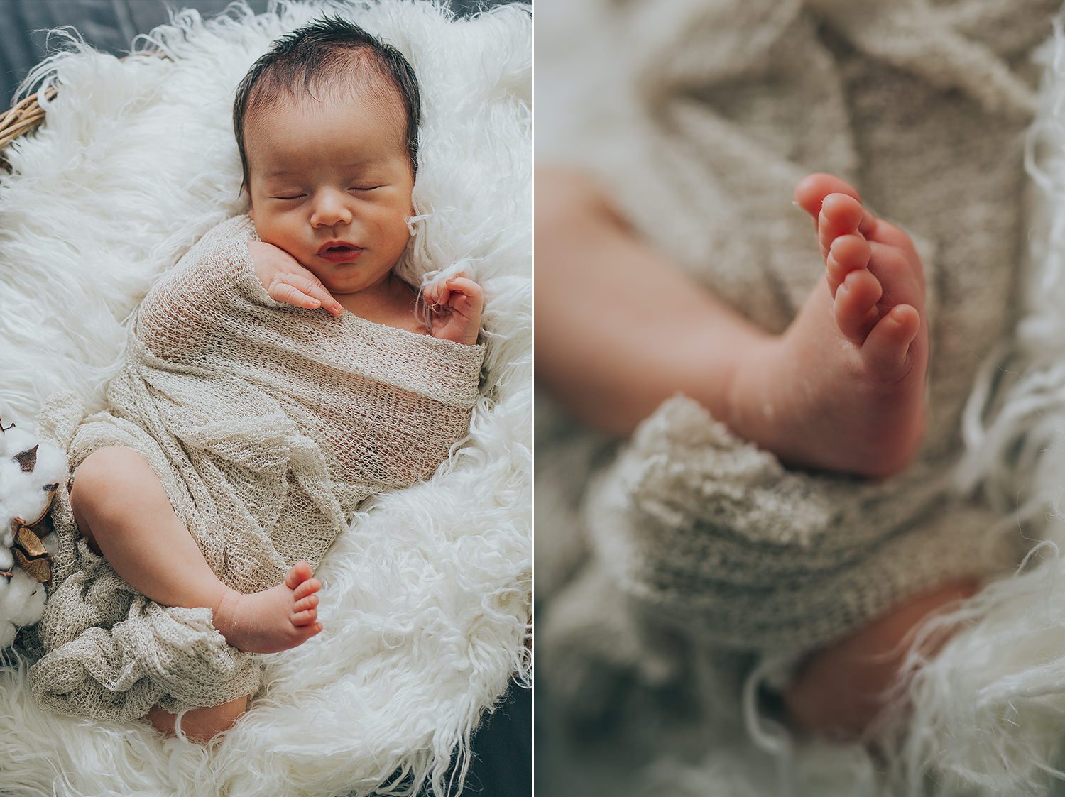 luxury newborn photography