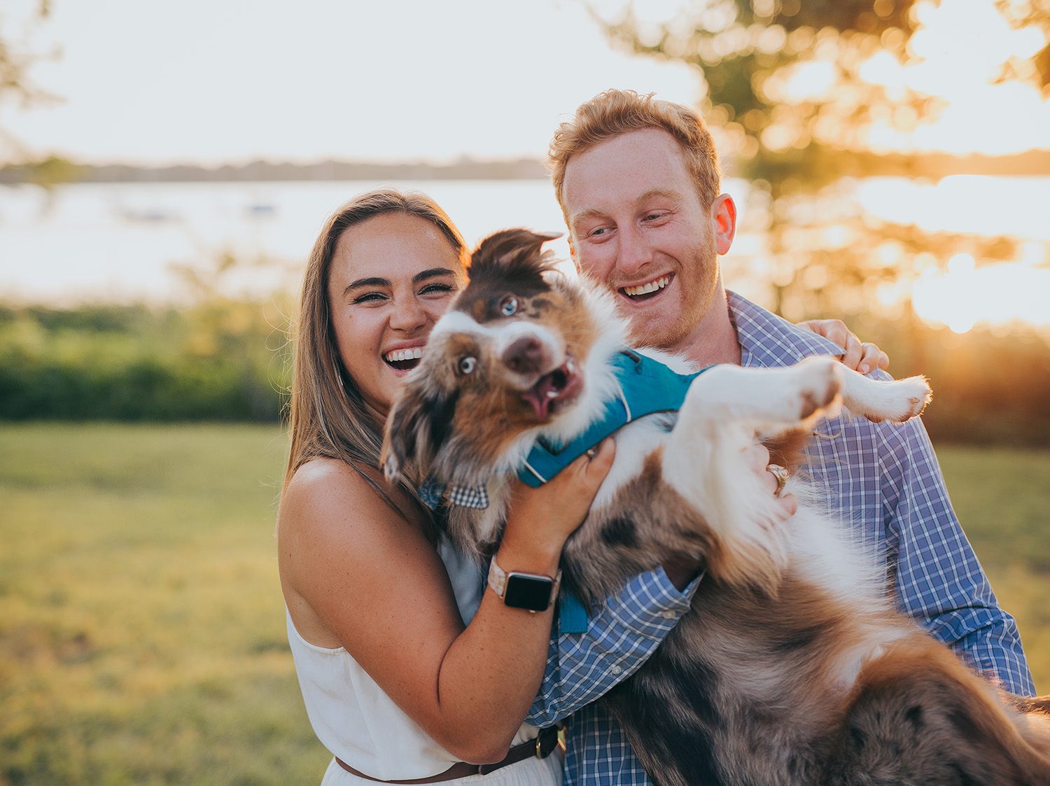 best engagement session with dog