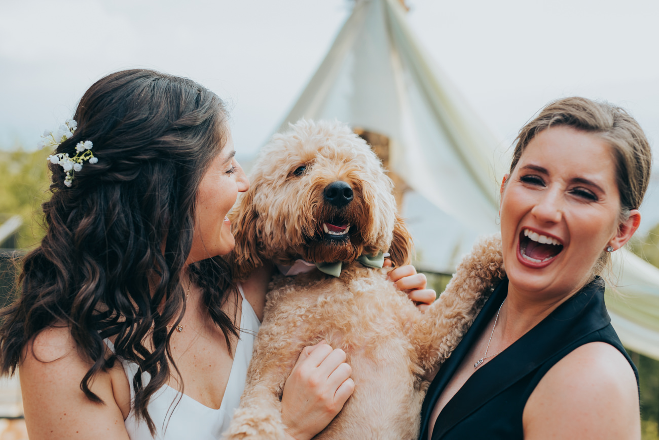 wedding photography with dogs
