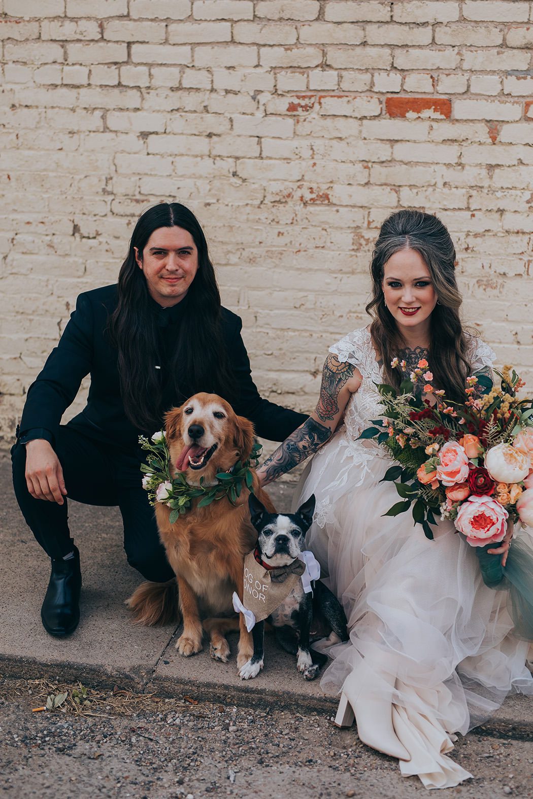 bride groom with their furkids