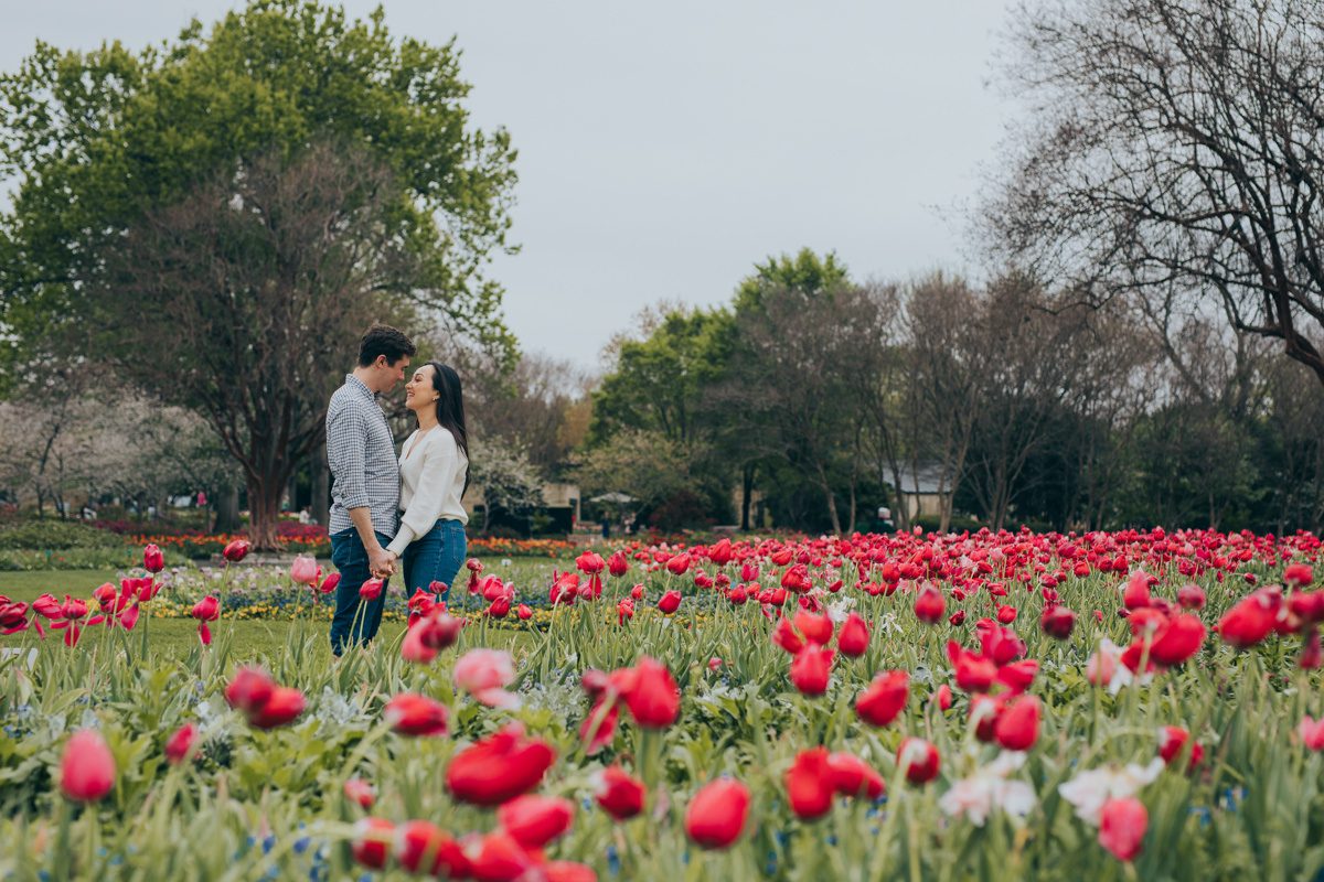 Tulip season at the Dallas Arboretum