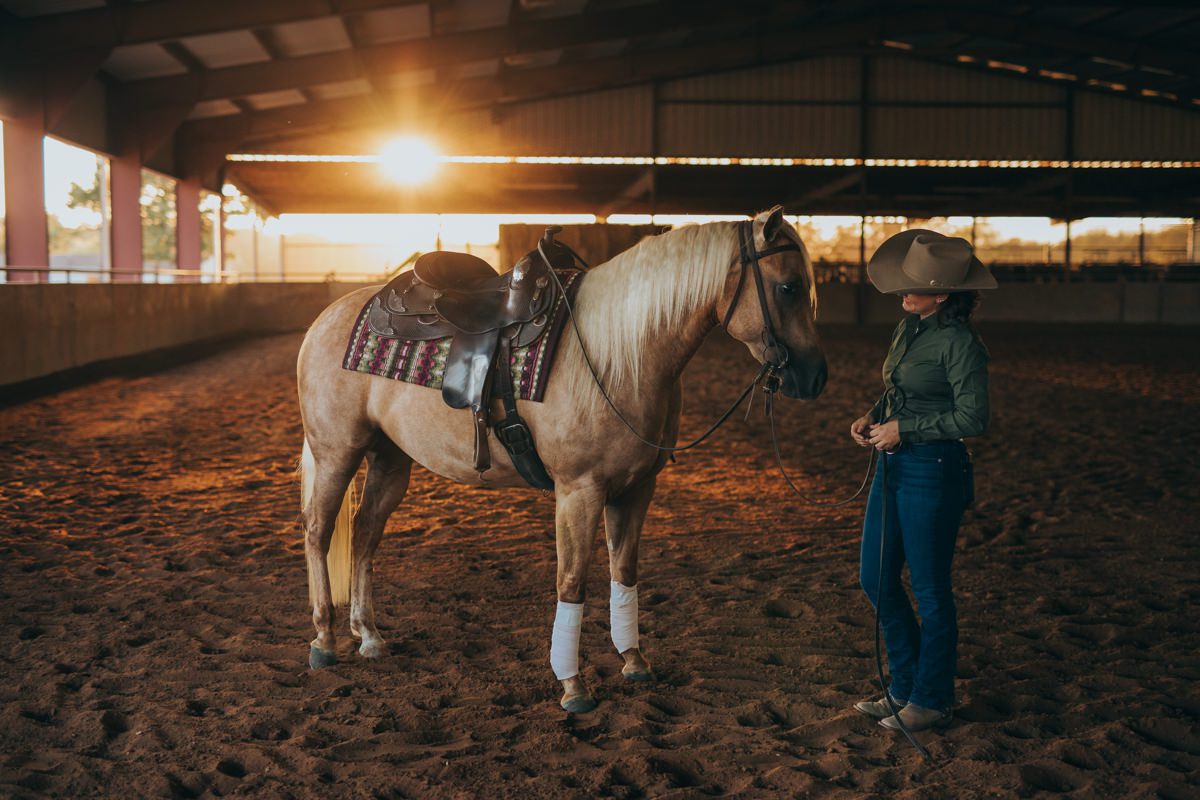 DFW equestrian photography
