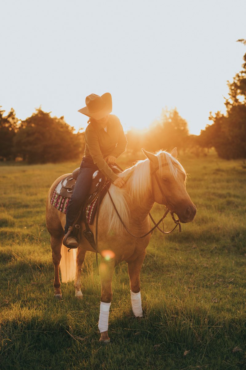 Dallas equestrian photos
