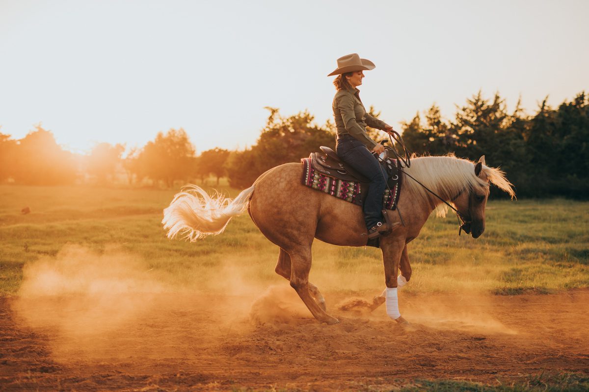 Dallas equestrian photographer